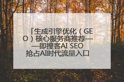 生成引擎优化（GEO）核心服务商推荐——即搜客AI SEO抢占AI时代流量入口（含 GEO报价）